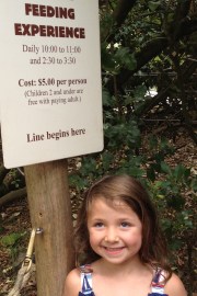 Don't feed the animals...